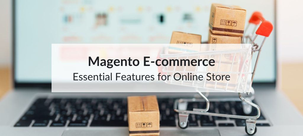magento ecommerce online store