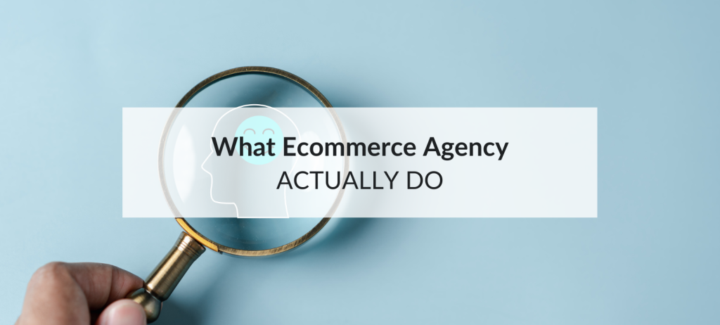 what an ecommerce agency do