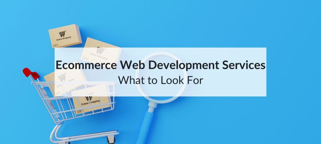 ecommerce web development
