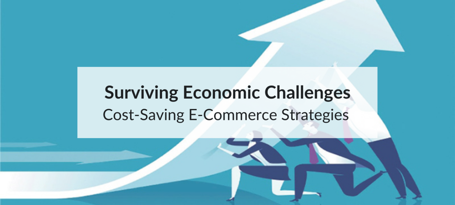 Discover actionable cost-saving strategies for e-commerce businesses. Learn how to optimize e-commerce website costs, streamline logistics, and improve customer retention.