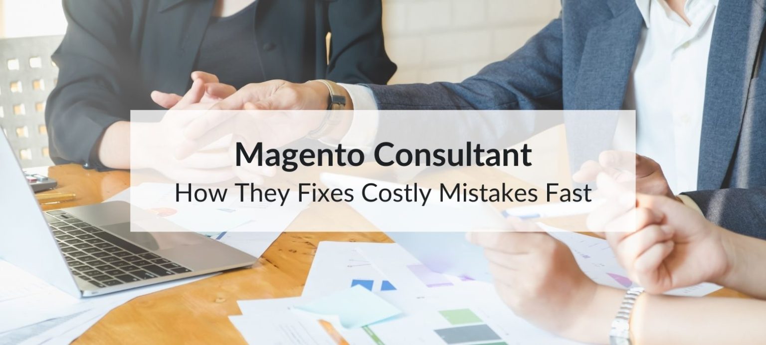magento consultant