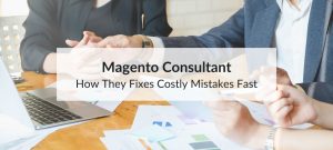 magento consultant
