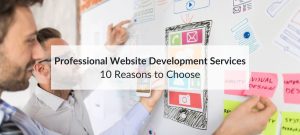 professional website development services