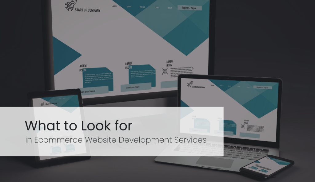 ecommerce website development services
