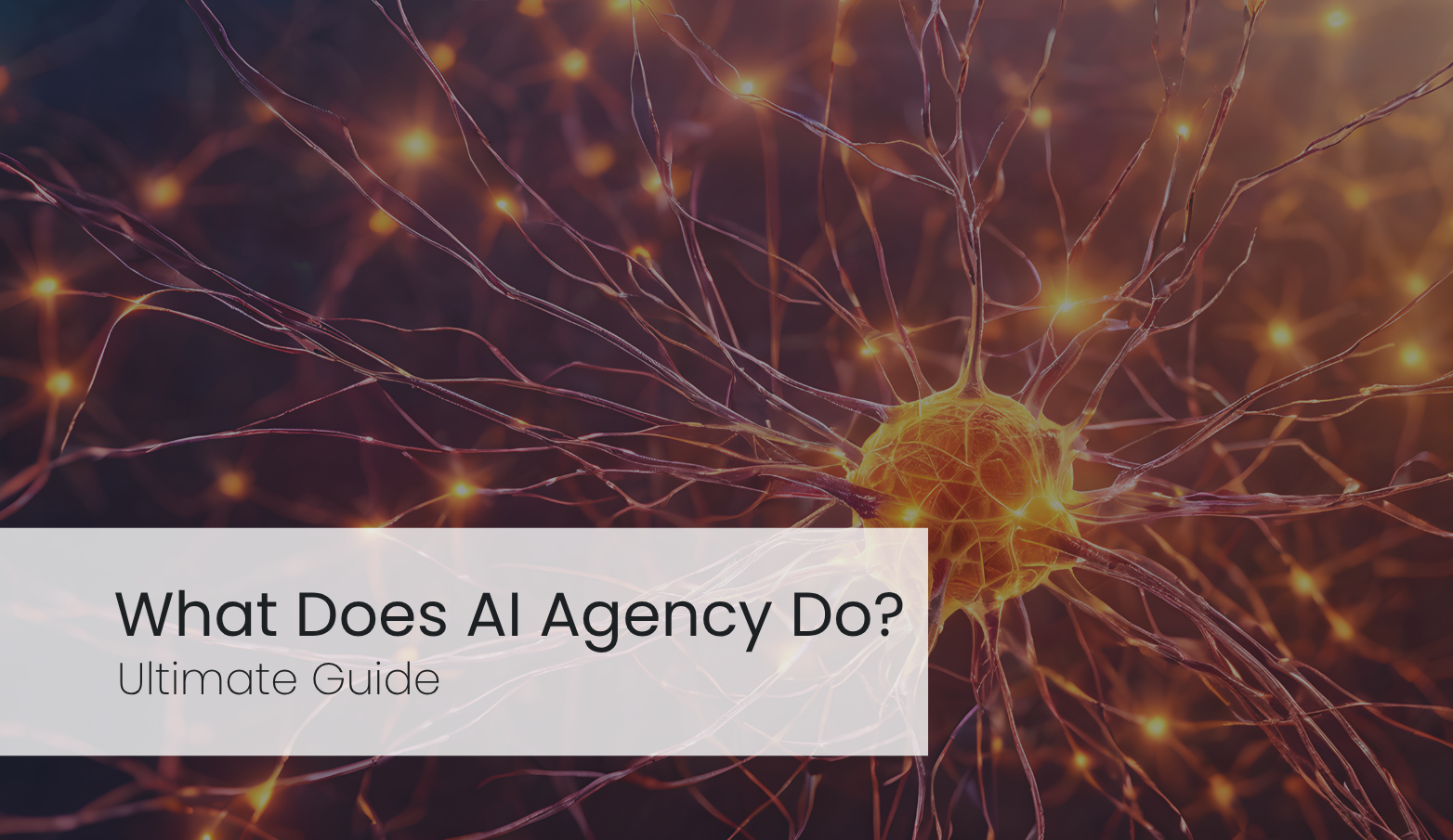 What Does an AI Agency Do?