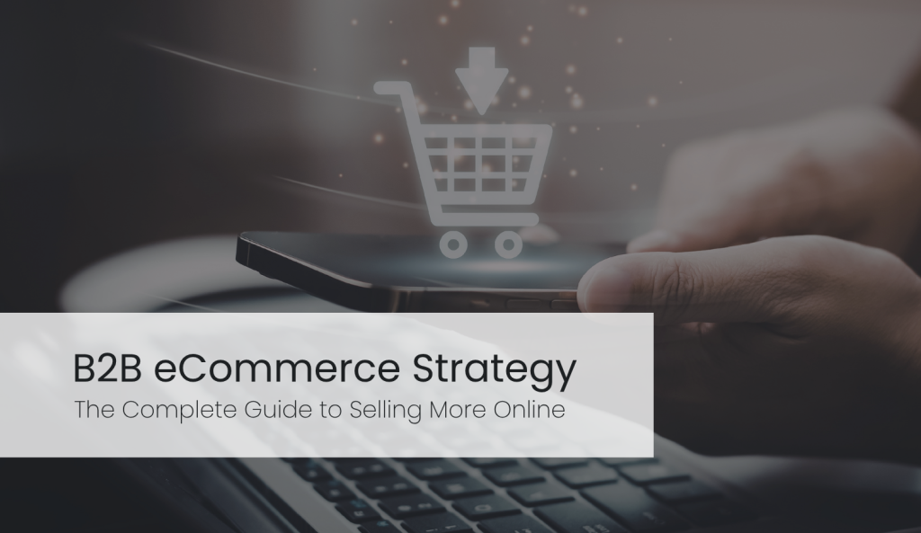b2b ecommerce strategy