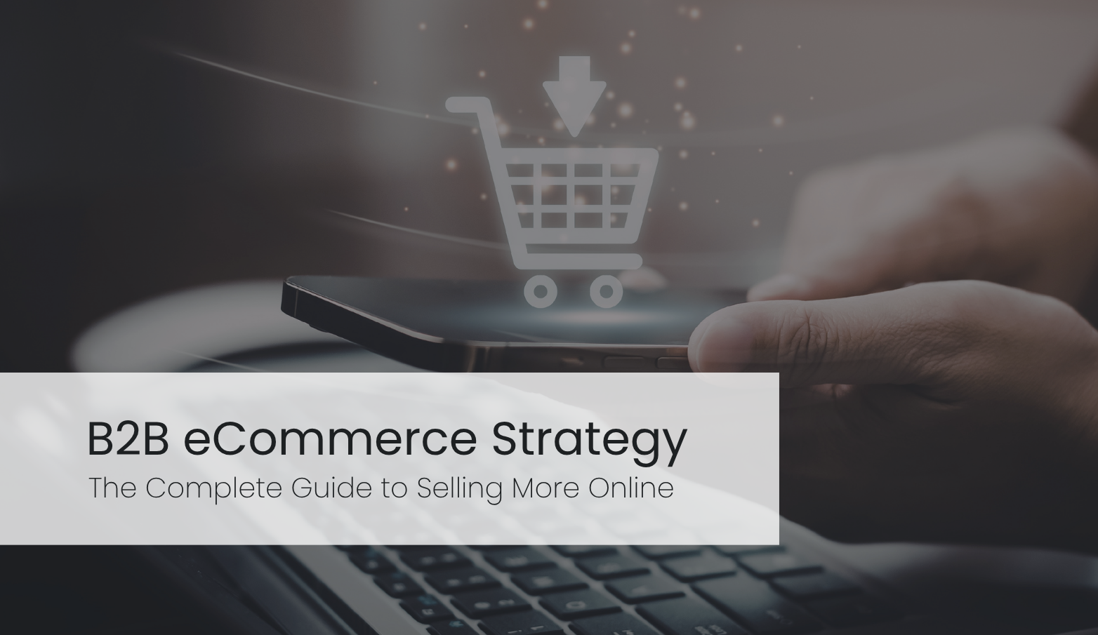 B2B eCommerce Strategy: The Complete Guide to Selling More Online