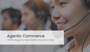 agentic commerce