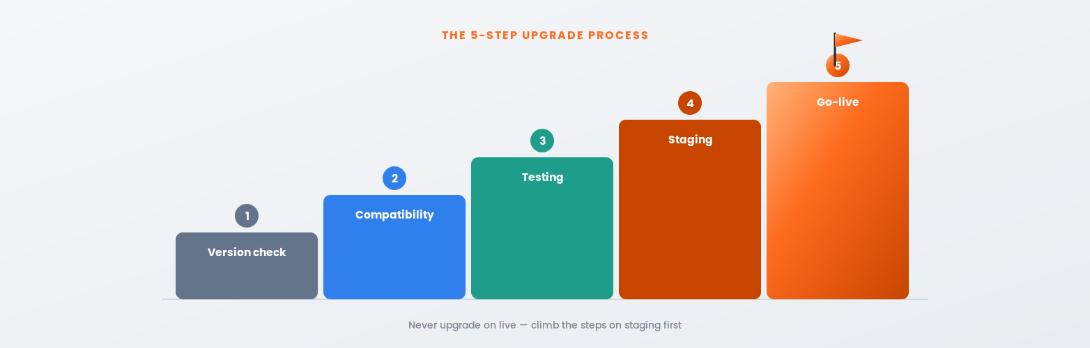 The five-step Magento upgrade process from version check to go-live on staging
